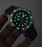 Gucci Dive Super Clone Master Copy